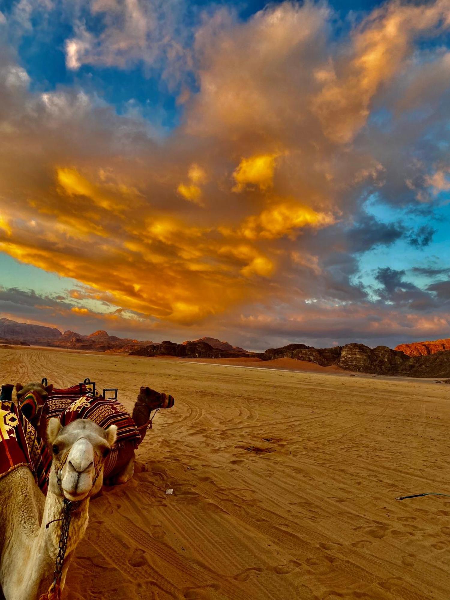 Rum Four Mountain Luxury Camp Wadi Rum Zewnętrze zdjęcie